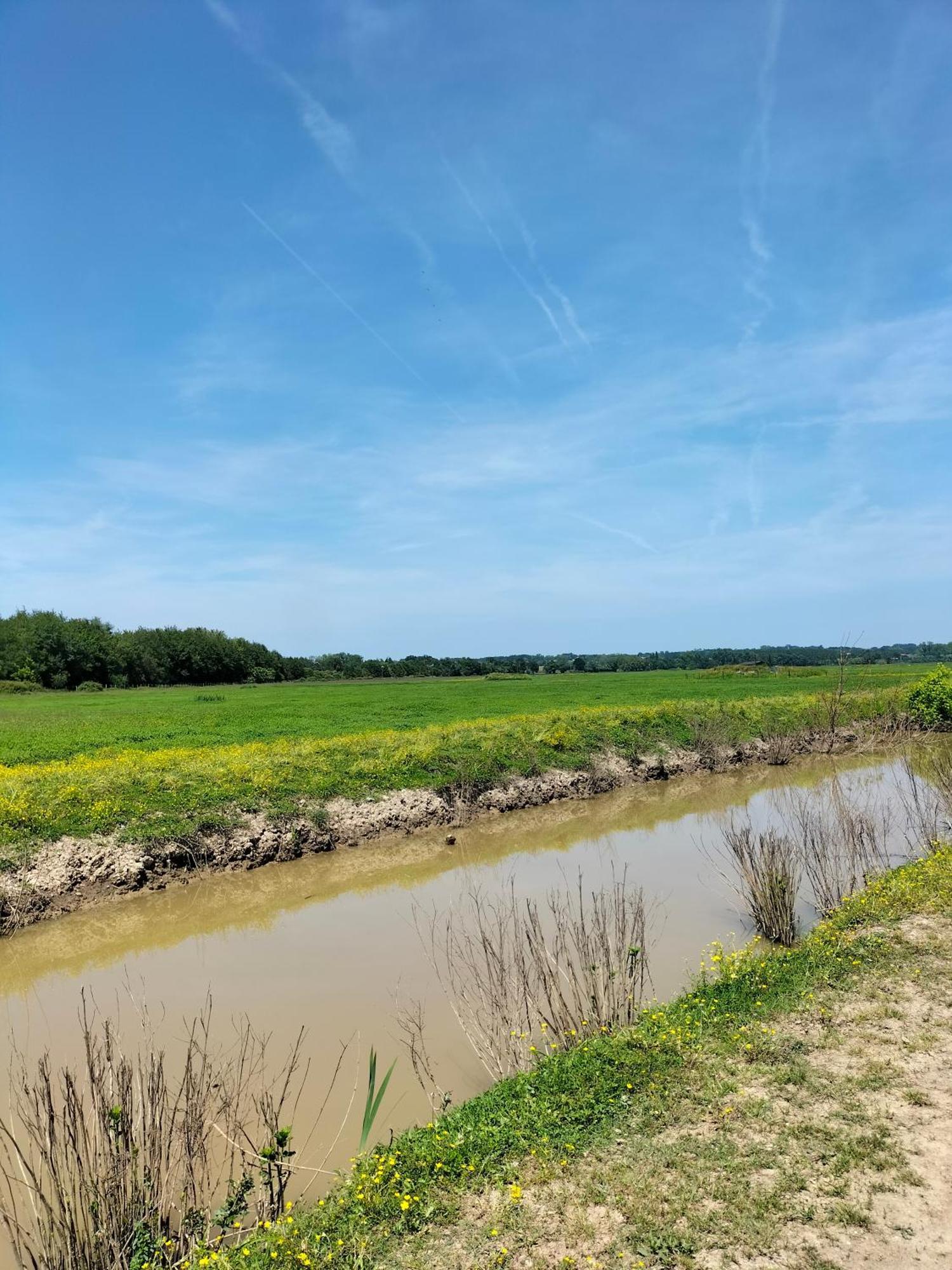 Studio Proche Des Thermes, Des Barthes, Des Plages Et De Dax ! Saubusse Extérieur photo